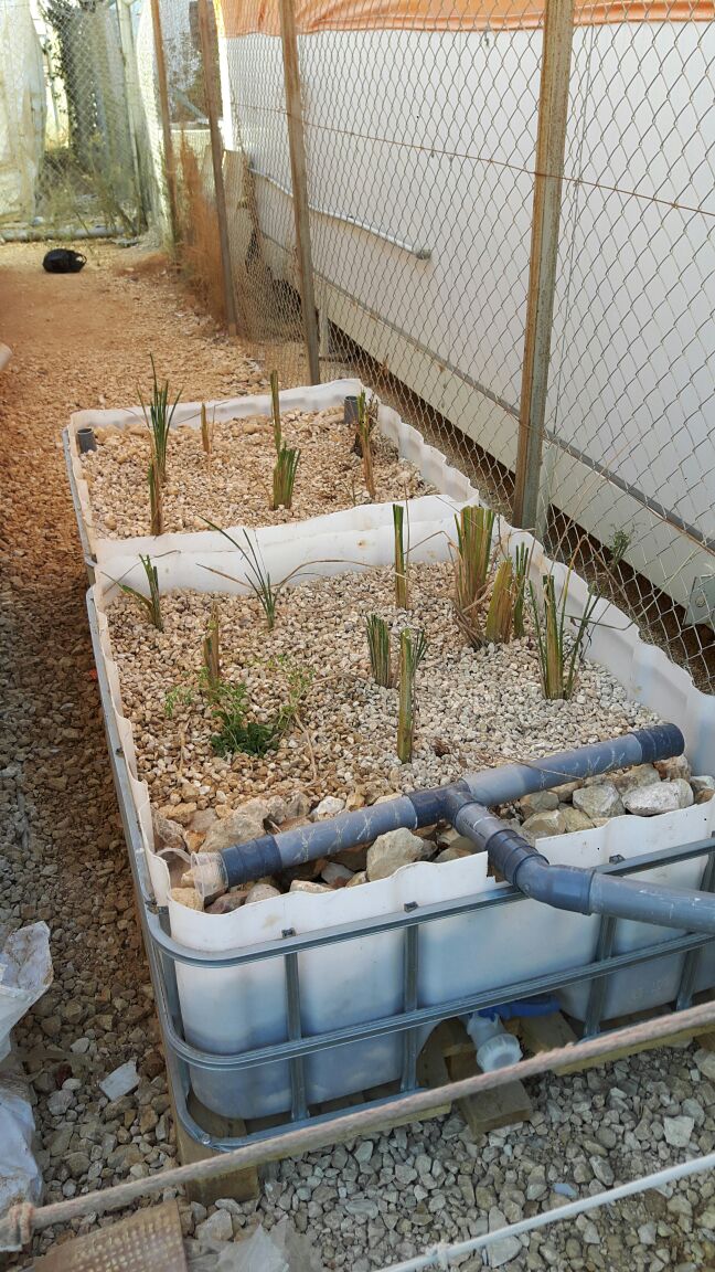 2016-12-08-photo-00000035