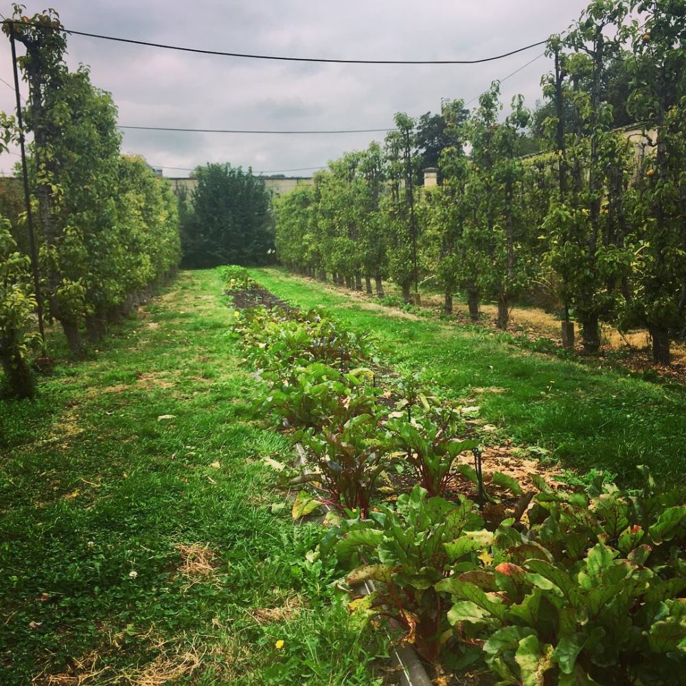 41101952_10160914272035375_5085964469352267776_o