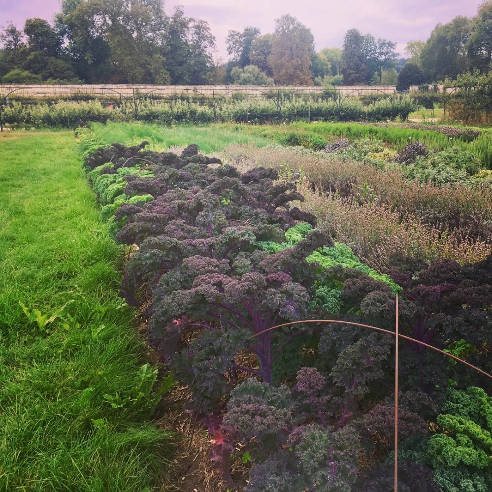 41171273_10160914272485375_3952957778909200384_o